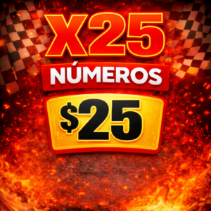 X25 NÚMEROS